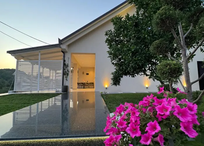 Linza Cozy 地拉那